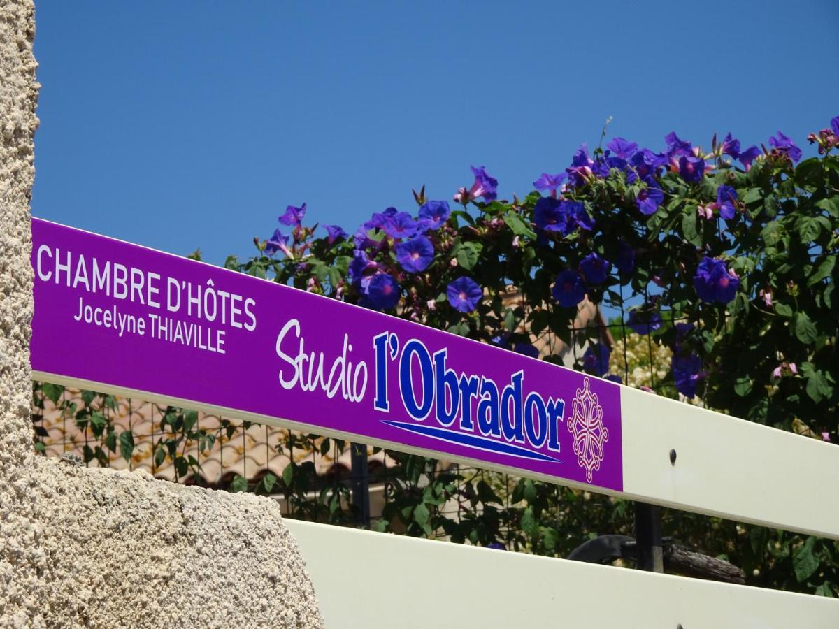 Studio L'Obrador 25 M2 - Cuisine & Terrasse - Acces Piscine Rieux-Minervois Luaran gambar
